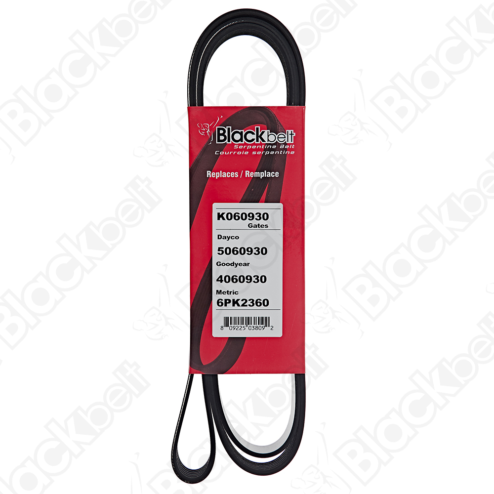 BLACKBELT SERPENTINE BELT - 2