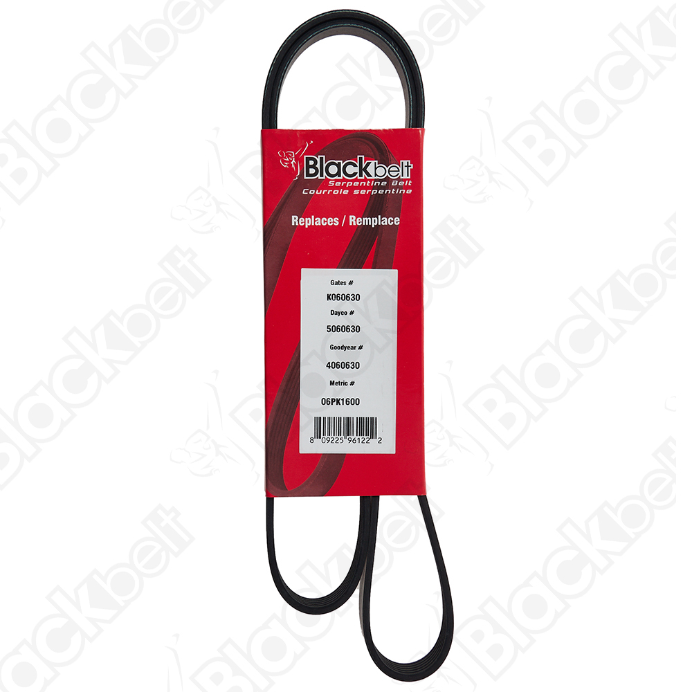 COURROIE SERPENTINE BLACK BELT - 2
