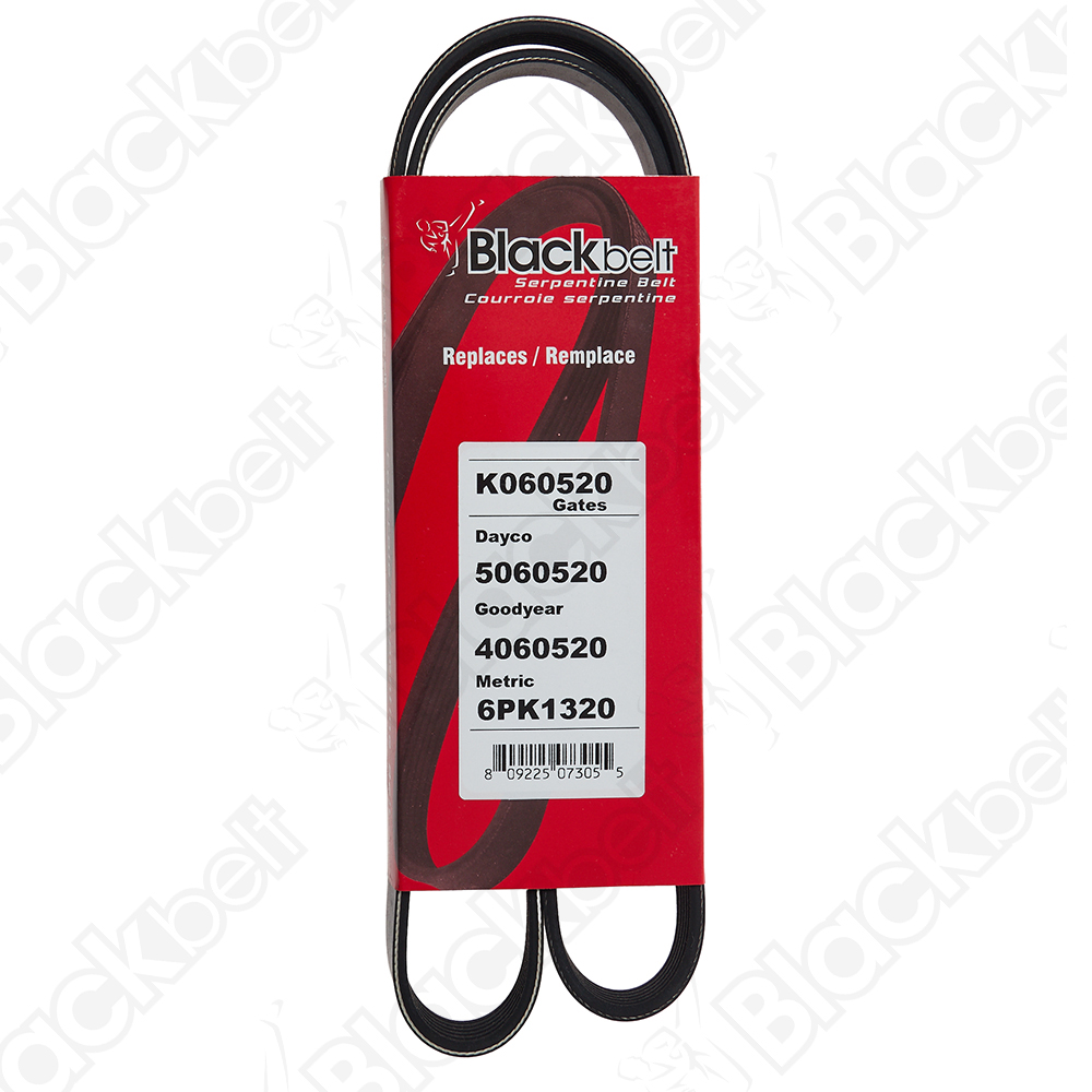 COURROIE SERPENTINE BLACK BELT - 2