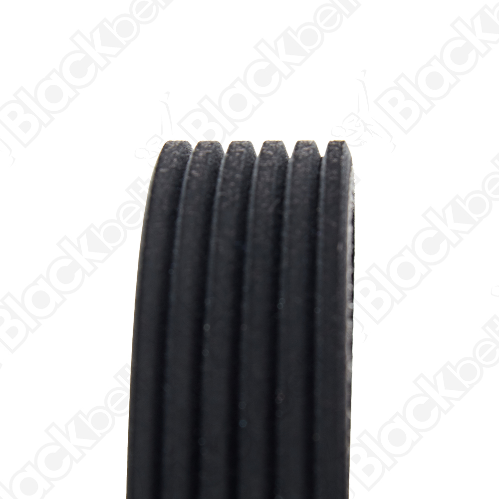 COURROIE SERPENTINE BLACK BELT - 2
