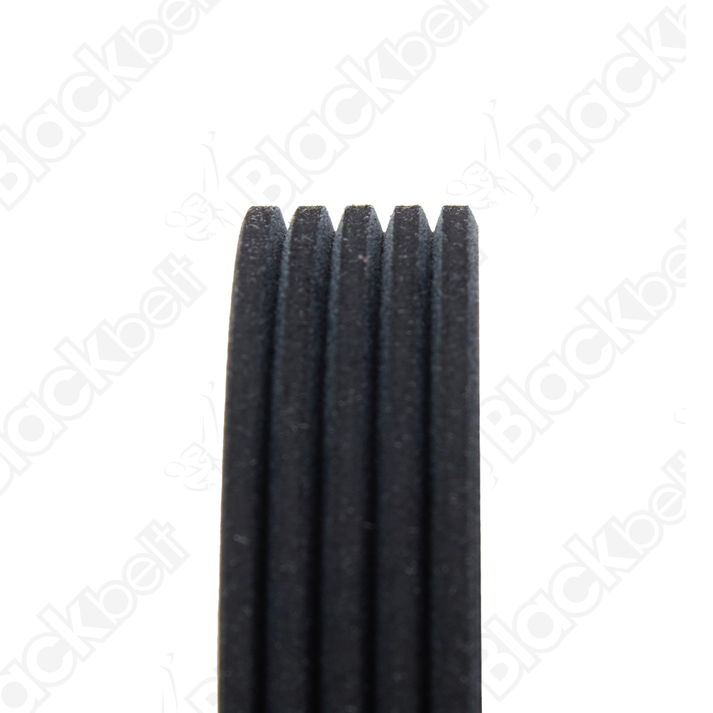 COURROIE SERPENTINE BLACK BELT - 2