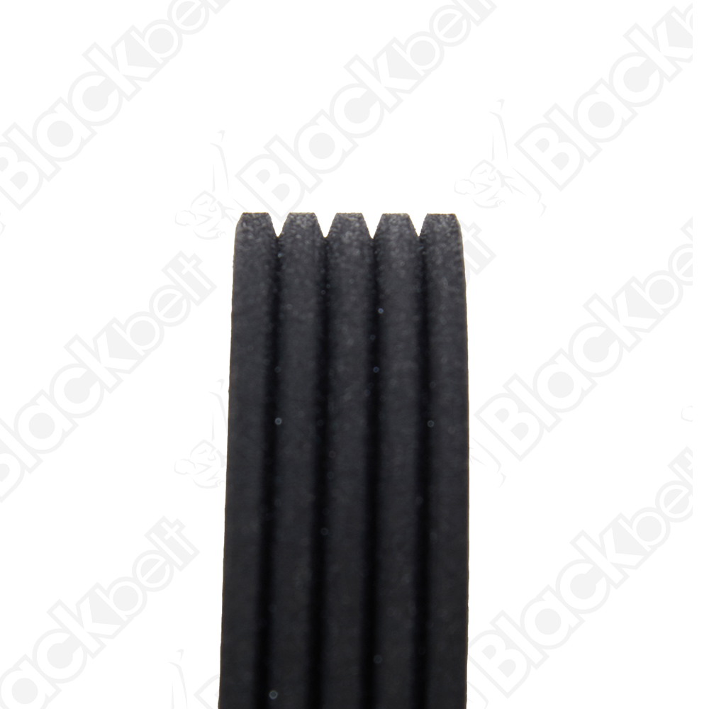 BLACKBELT SERPENTINE BELT