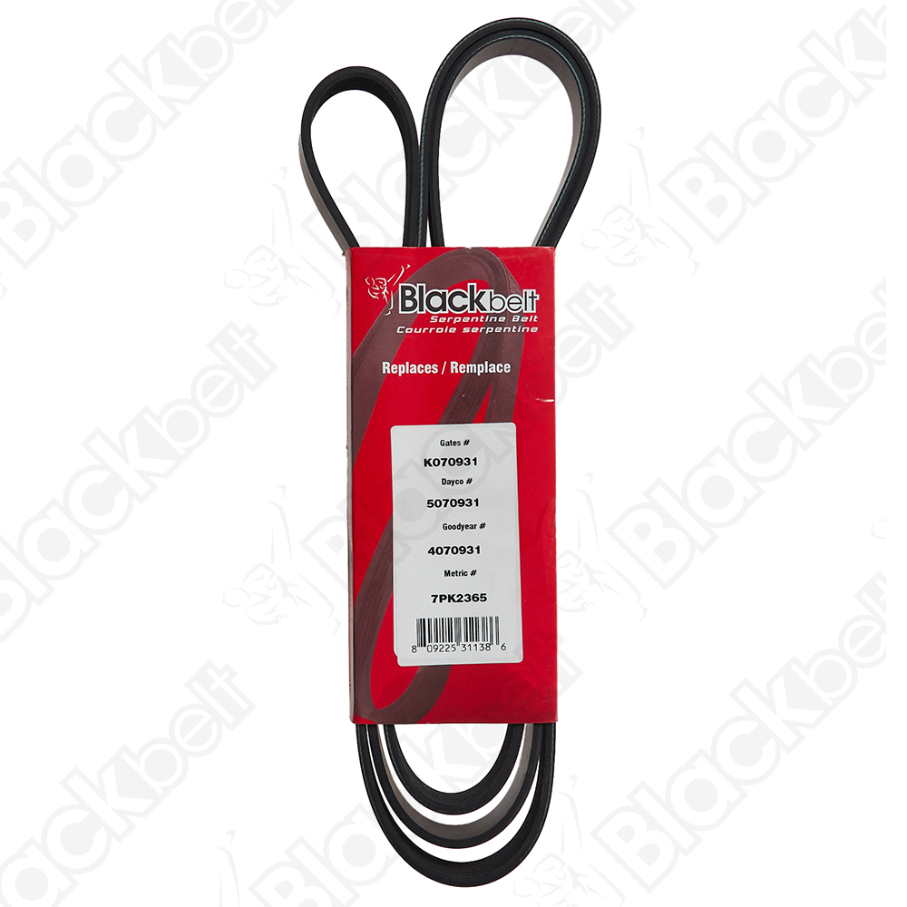 BLACKBELT SERPENTINE BELT - 2