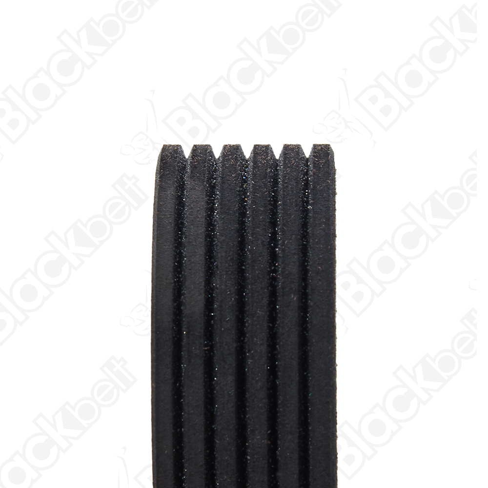 BLACKBELT SERPENTINE BELT - 2