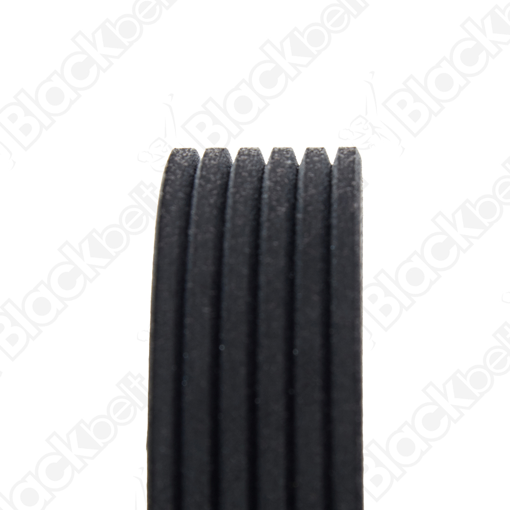 COURROIE SERPENTINE BLACK BELT