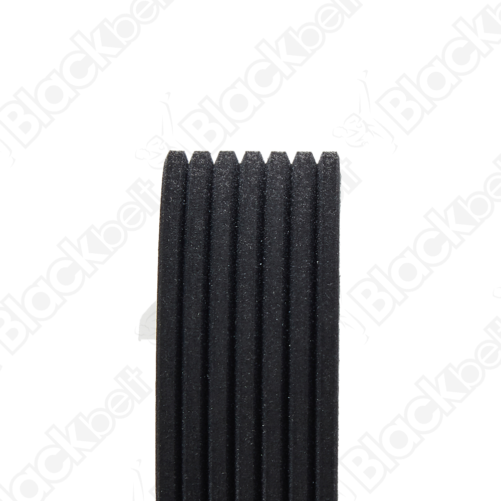 COURROIE SERPENTINE BLACKBELT - 2