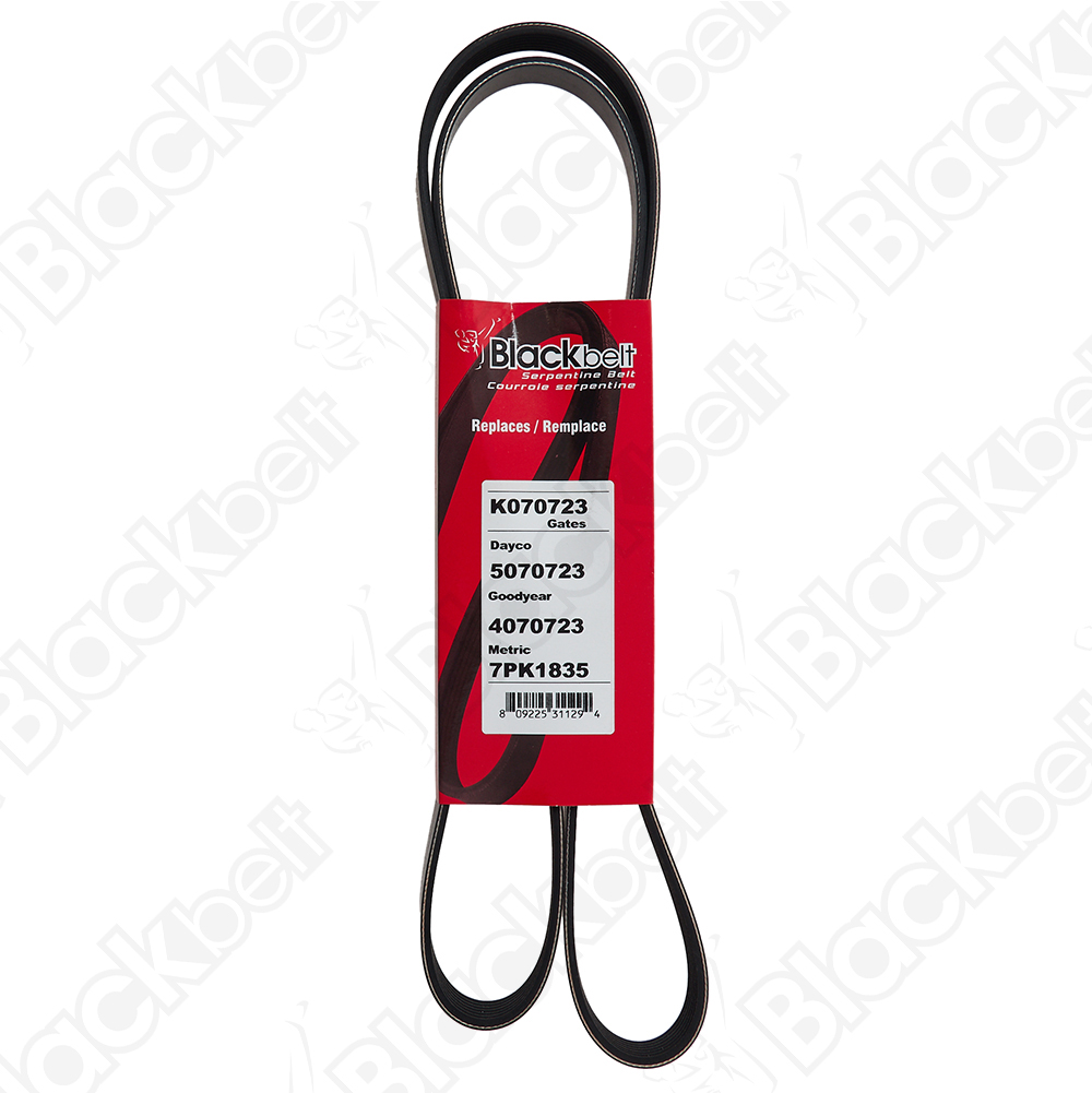 BLACKBELT SERPENTINE BELT - 2