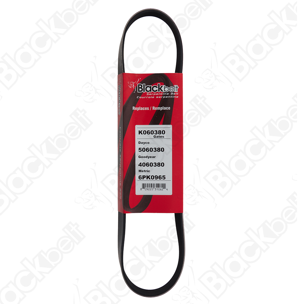 COURROIE SERPENTINE BLACK BELT