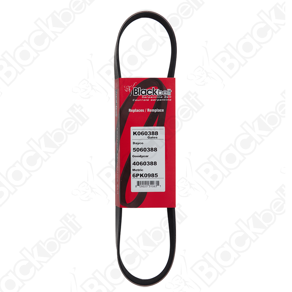 BLACKBELT SERPENTINE BELT - 2