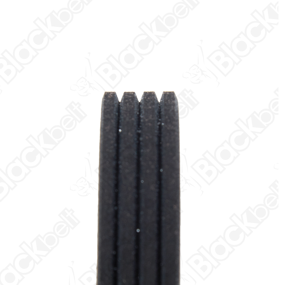 BLACKBELT SERPENTINE BELT