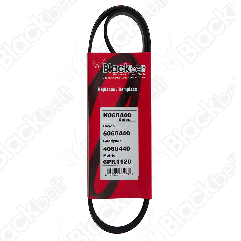 BLACKBELT SERPENTINE BELT - 2