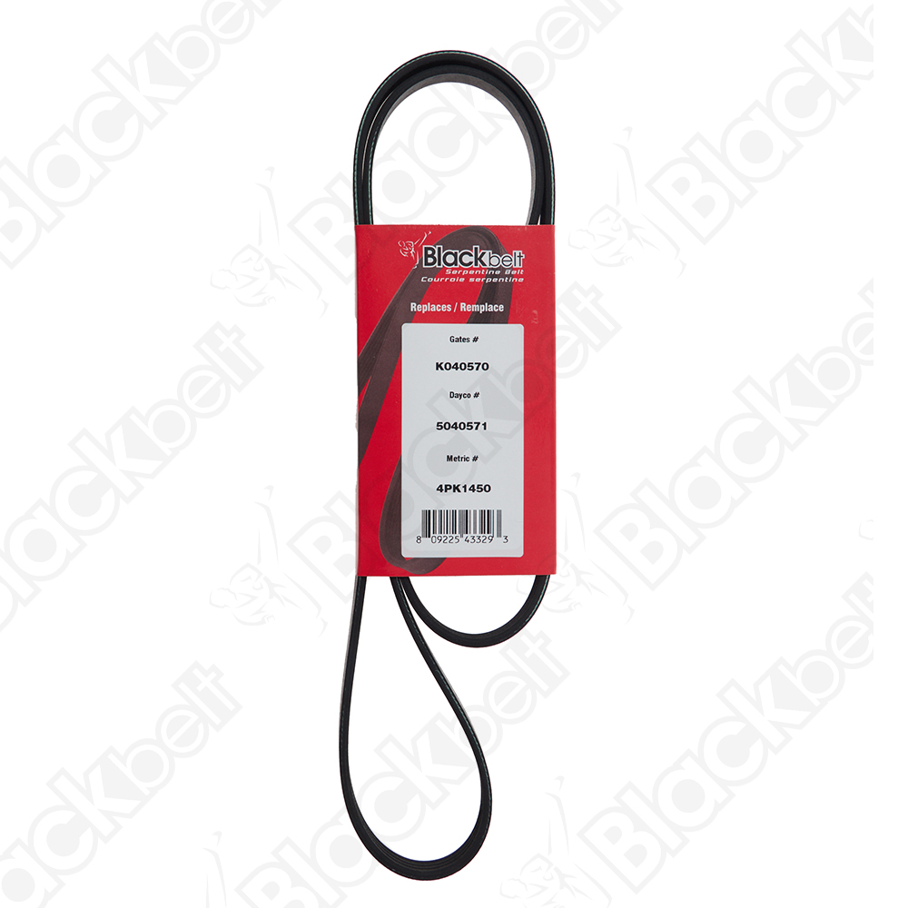 COURROIE SERPENTINE BLACK BELT - 2