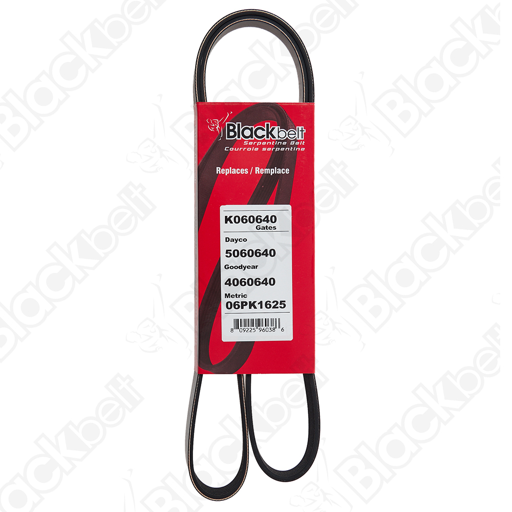 BLACKBELT SERPENTINE BELT - 2