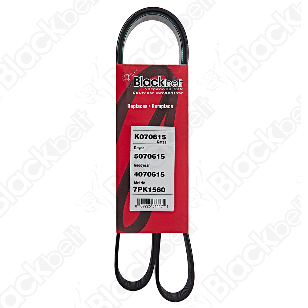 BLACKBELT SERPENTINE BELT - 2