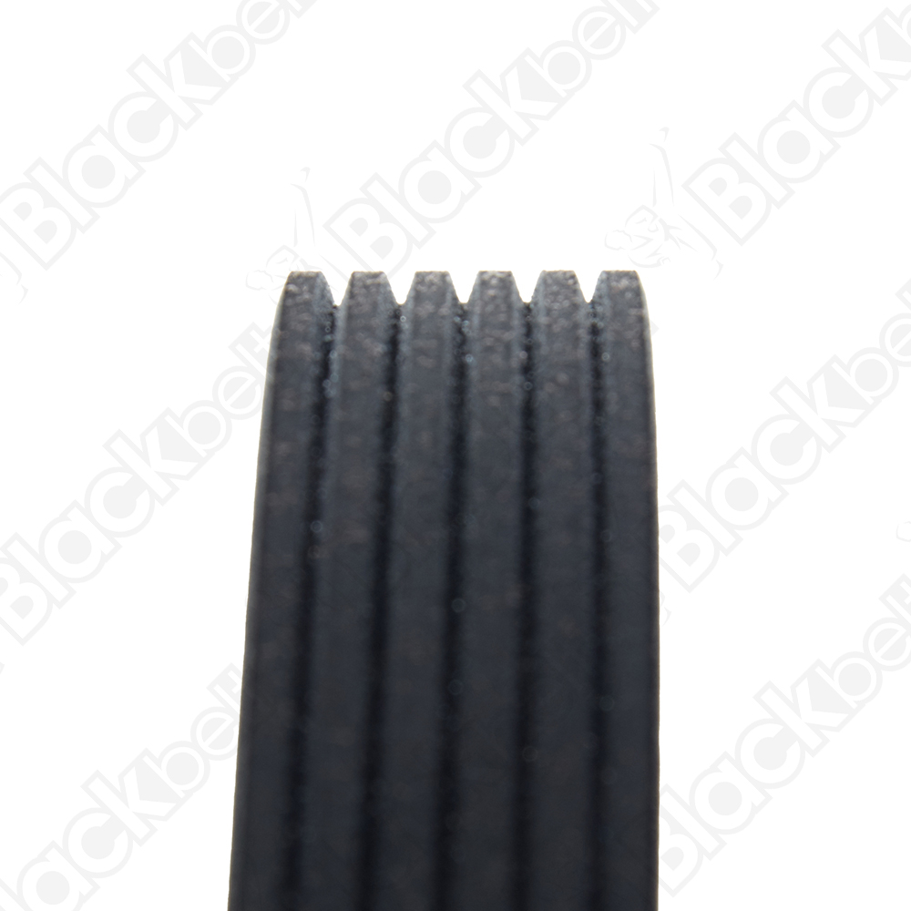 BLACKBELT SERPENTINE BELT - 2