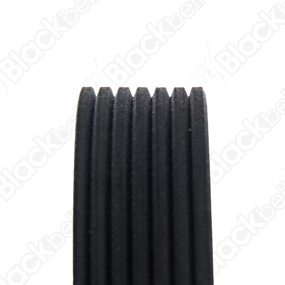 BLACKBELT SERPENTINE BELT - 2