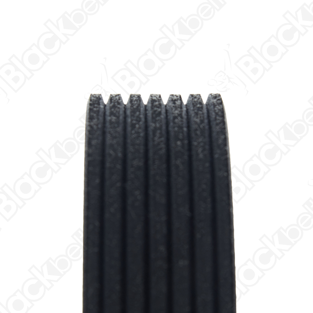 COURROIE SERPENTINE BLACK BELT