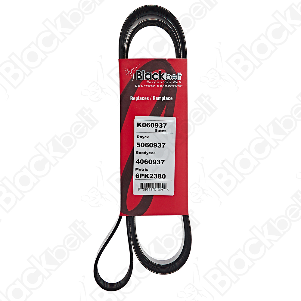 COURROIE SERPENTINE BLACK BELT