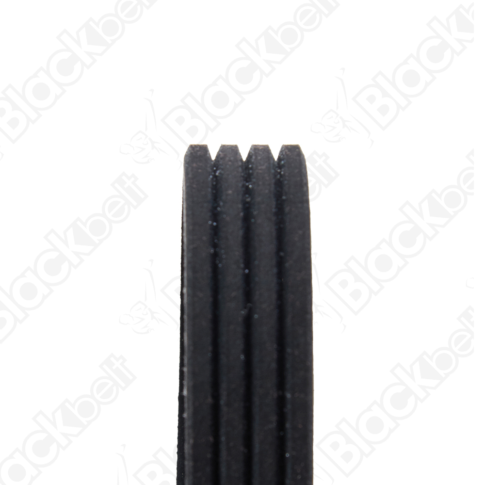 COURROIE SERPENTINE BLACK BELT - 2