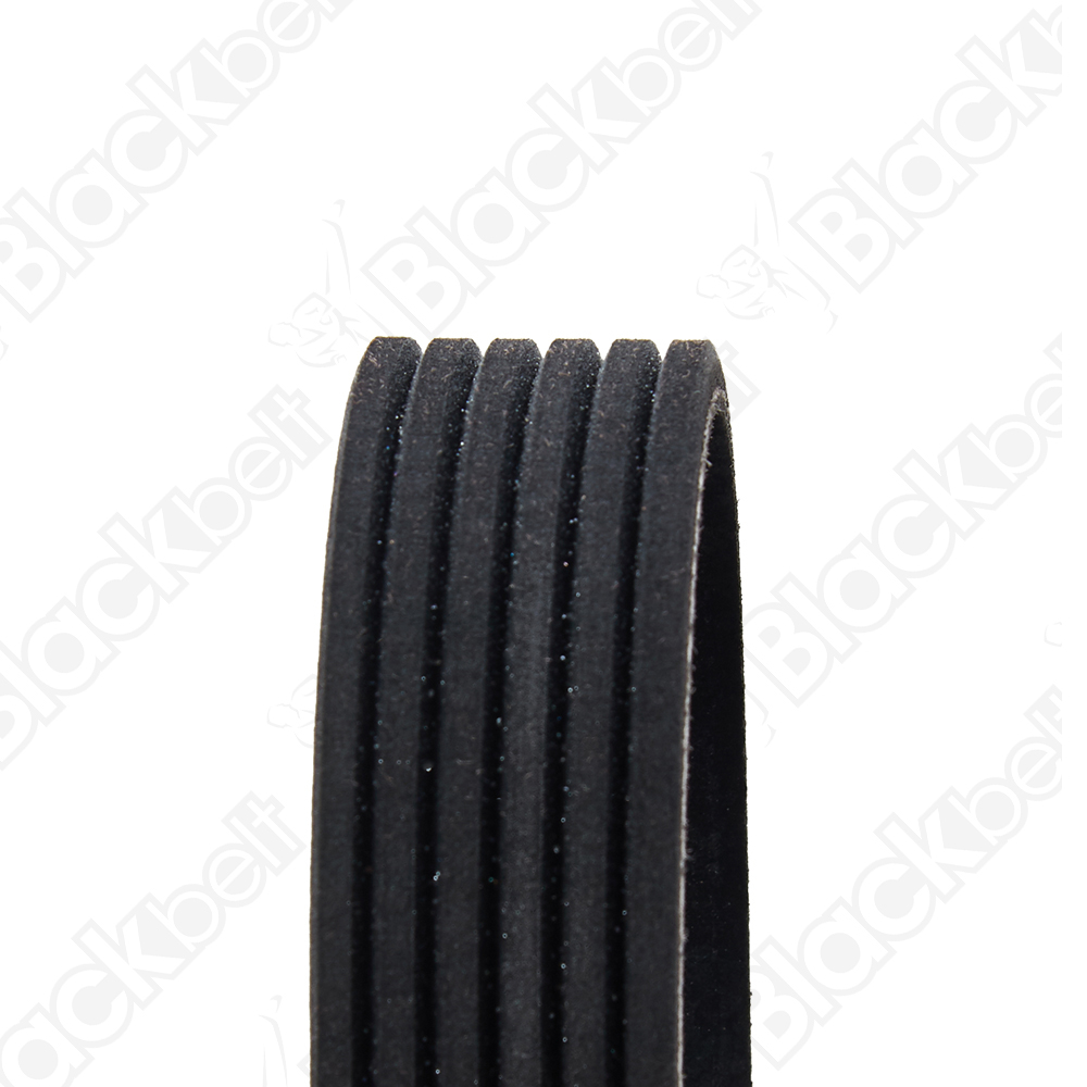 COURROIE SERPENTINE BLACK BELT