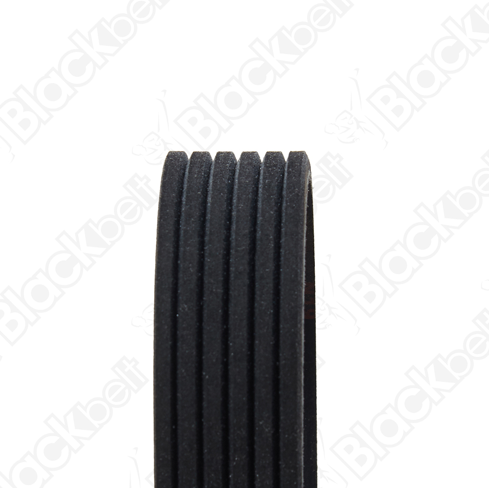 COURROIE SERPENTINE BLACK BELT