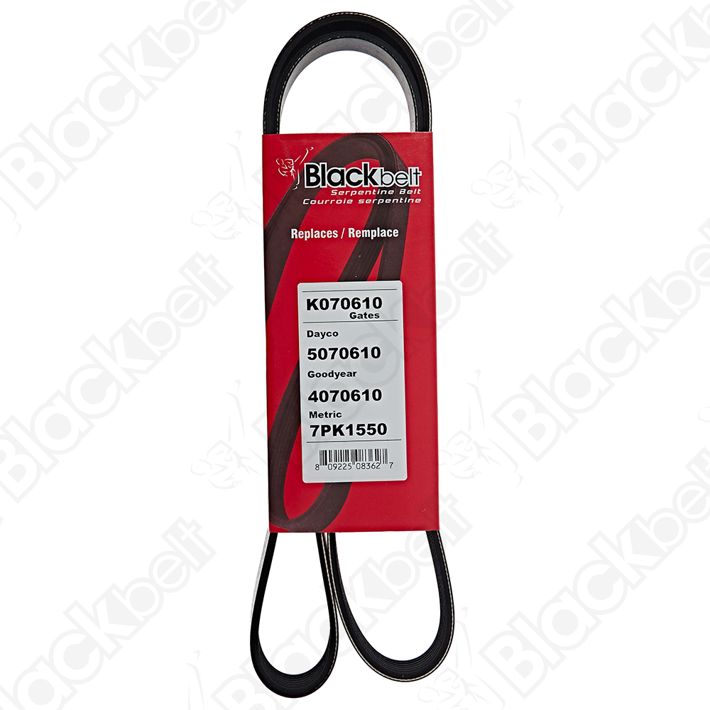 BLACKBELT SERPENTINE BELT - 2
