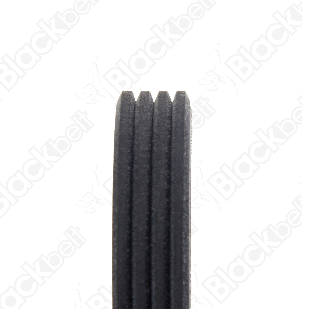 BLACKBELT SERPENTINE BELT - 2
