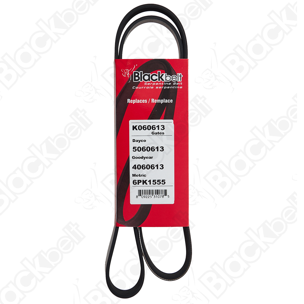 BLACKBELT SERPENTINE BELT - 2