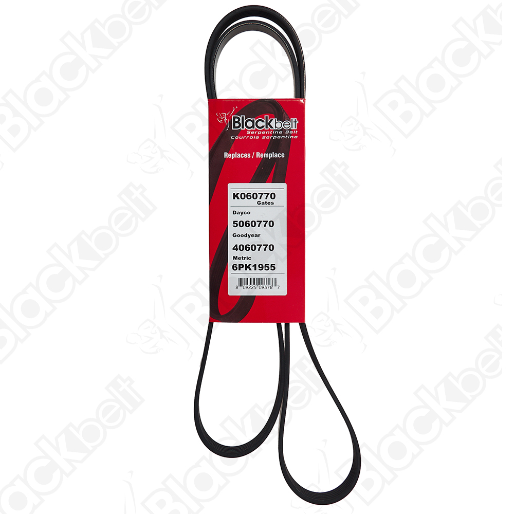 BLACKBELT SERPENTINE BELT