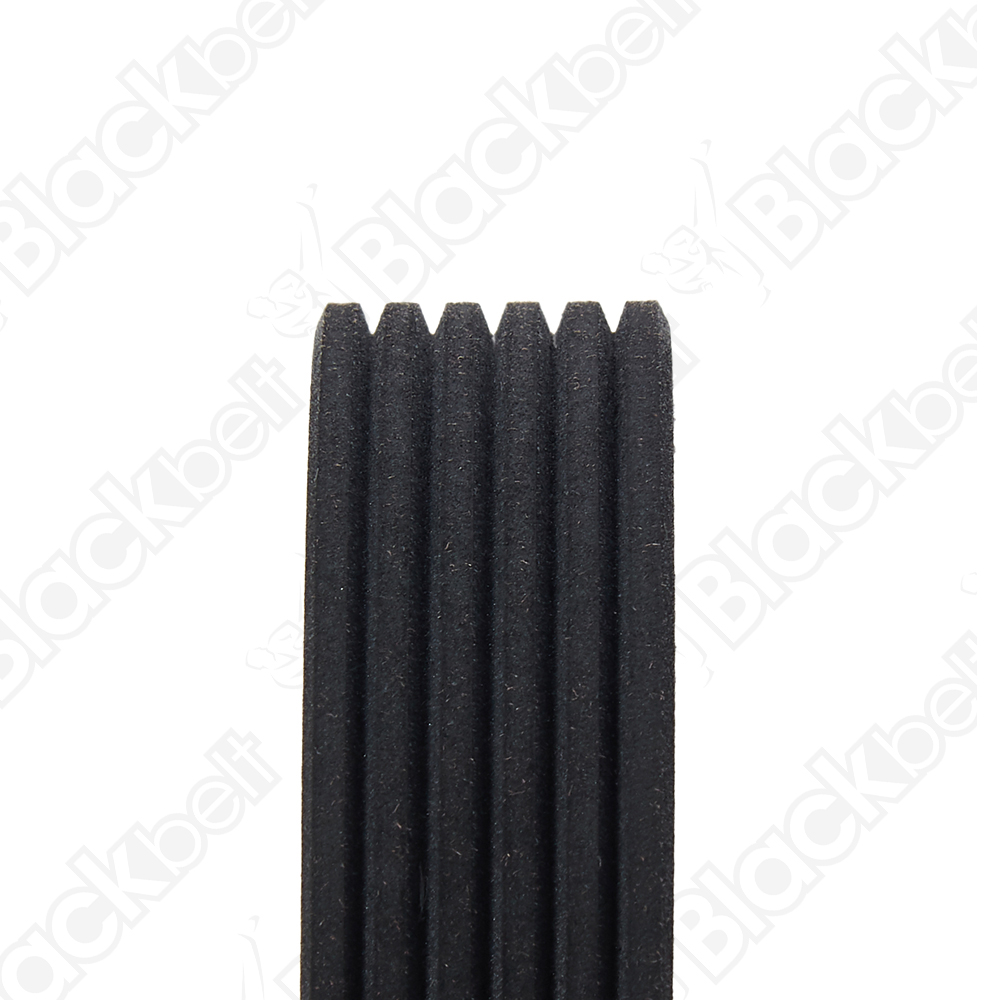 COURROIE SERPENTINE BLACK BELT - 2