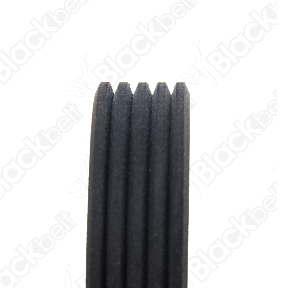 BLACKBELT SERPENTINE BELT