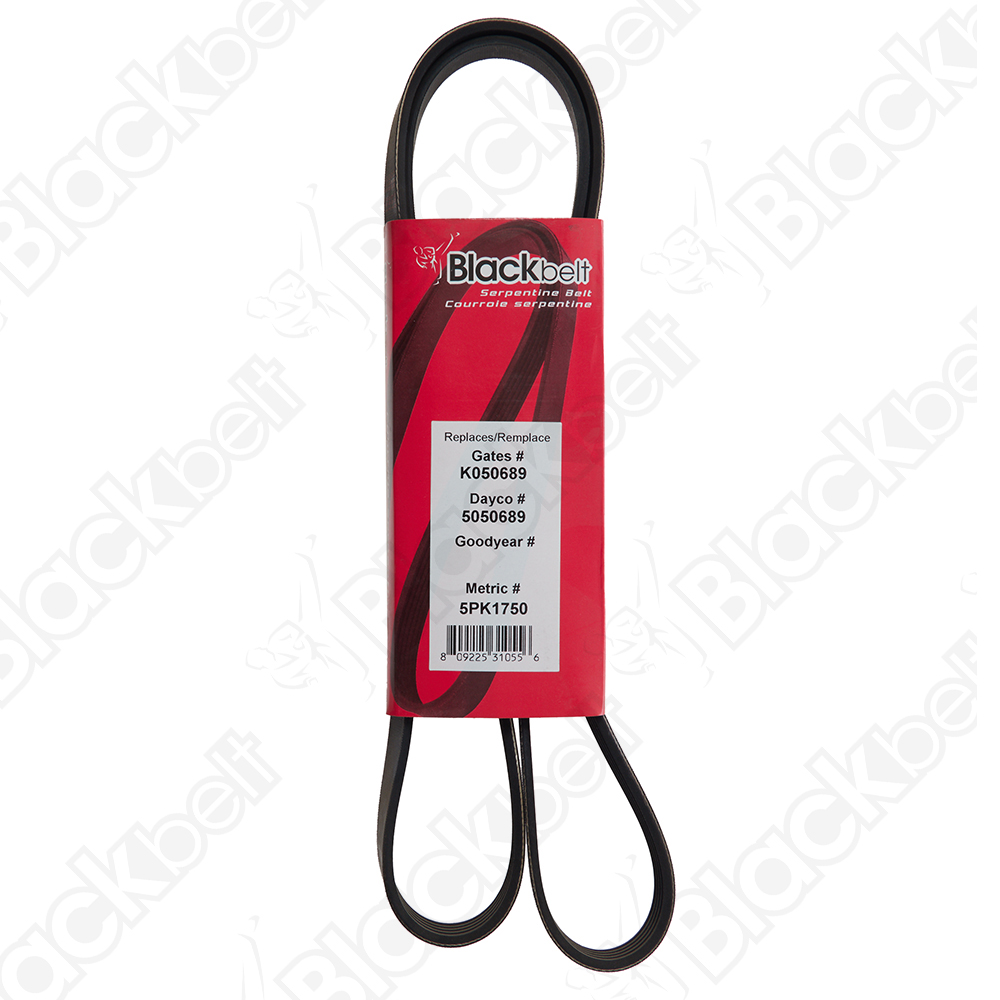 COURROIE SERPENTINE BLACK BELT - 2