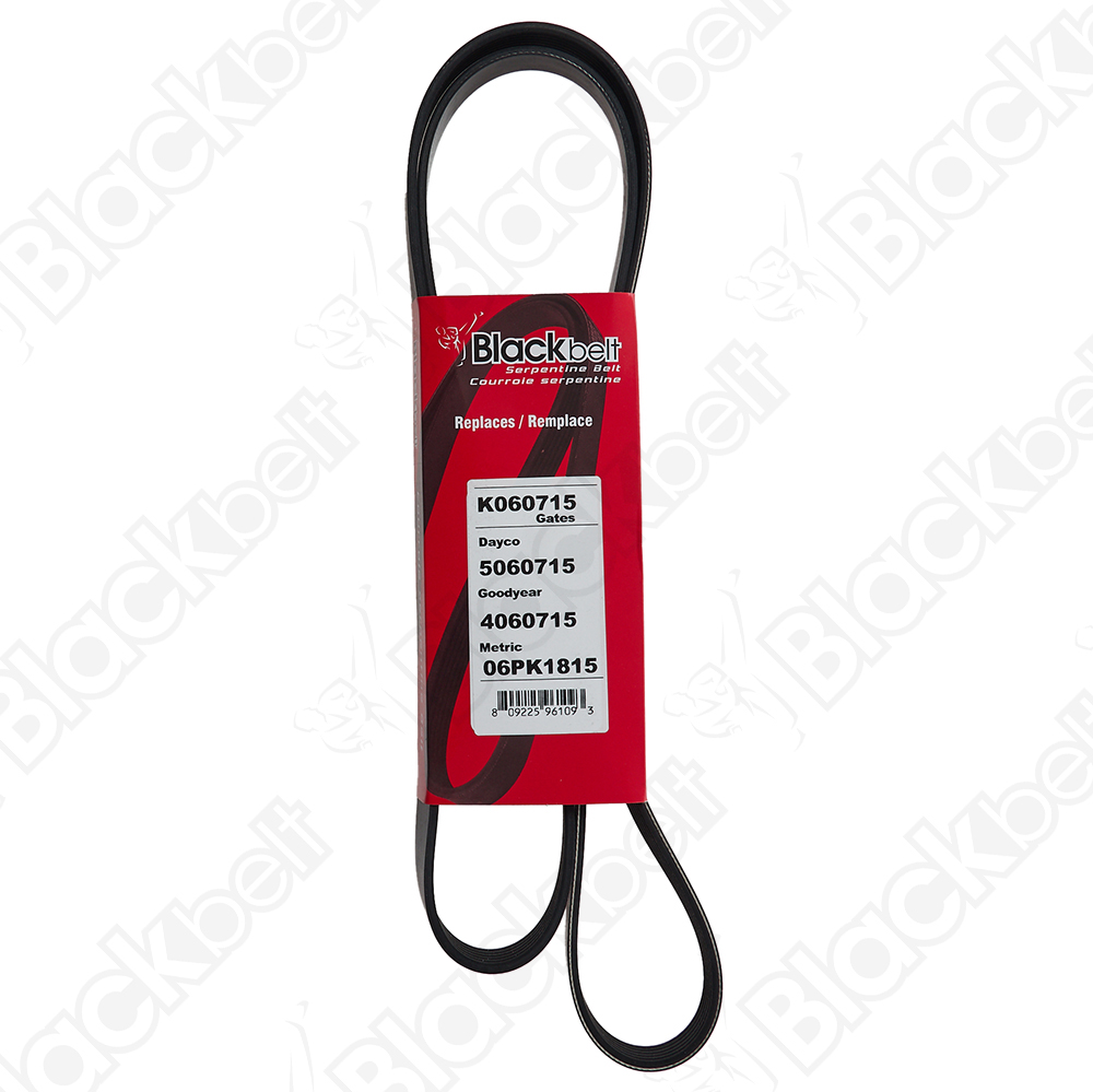 BLACKBELT SERPENTINE BELT - 2