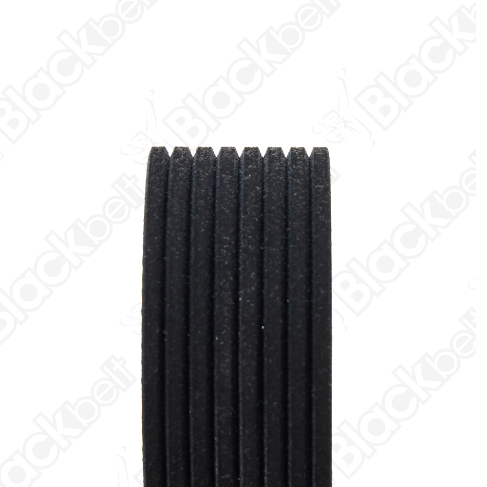 BLACKBELT SERPENTINE BELT - 2