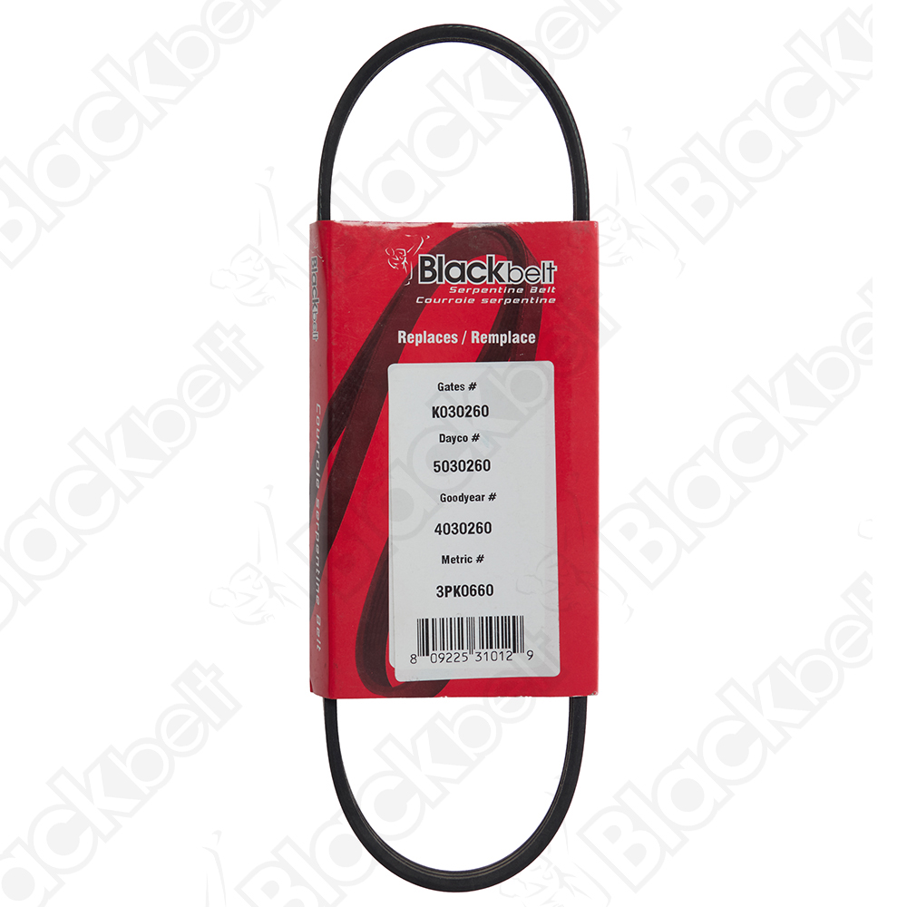 COURROIE SERPENTINE BLACK BELT