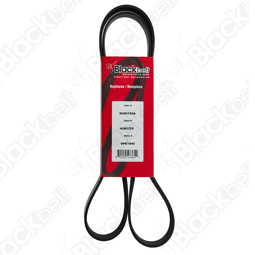 BLACKBELT SERPENTINE BELT - 2
