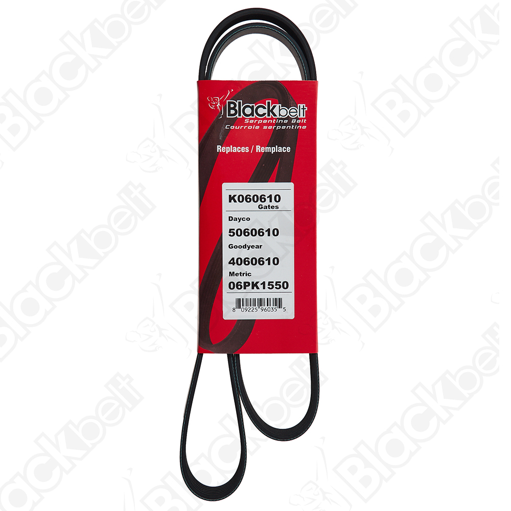 COURROIE SERPENTINE BLACK BELT - 2