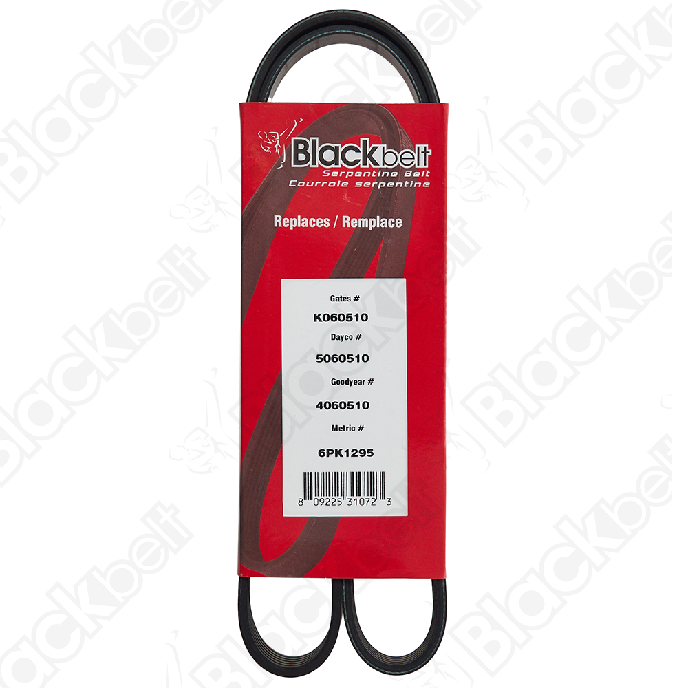 COURROIE SERPENTINE BLACK BELT - 2