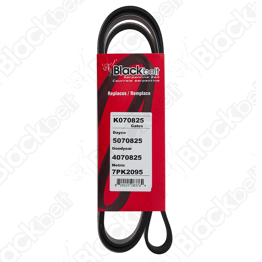 COURROIE SERPENTINE BLACK BELT - 2