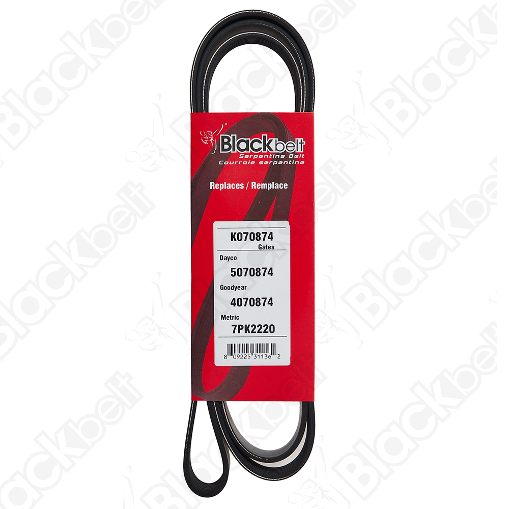 COURROIE SERPENTINE BLACK BELT