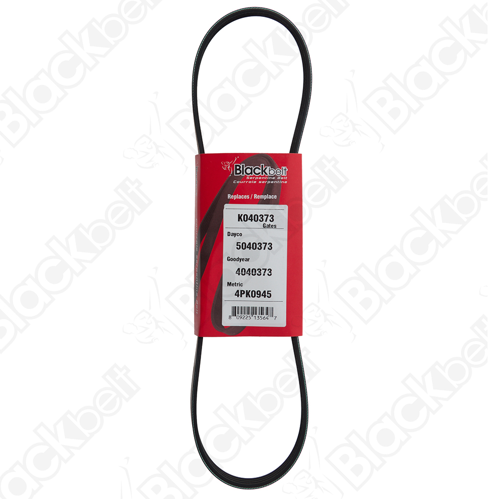 BLACKBELT SERPENTINE BELT - 2
