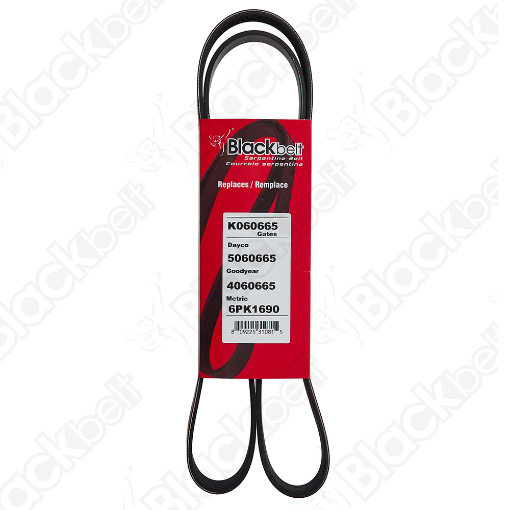 BLACKBELT SERPENTINE BELT - 2
