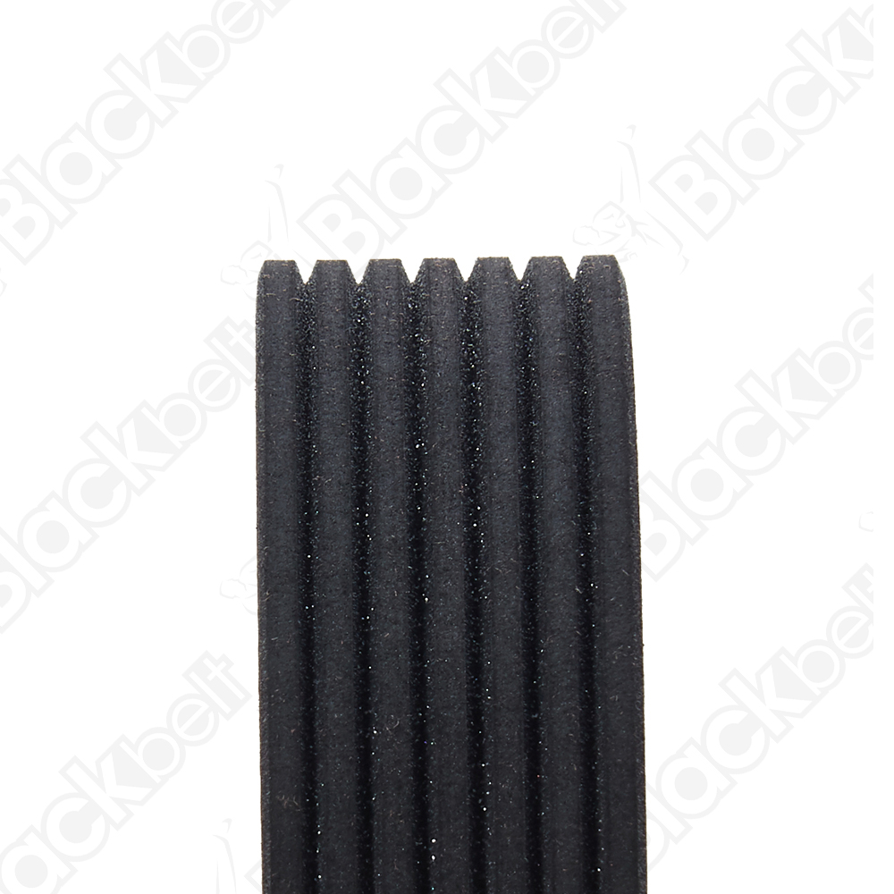 COURROIE SERPENTINE BLACK BELT - 2