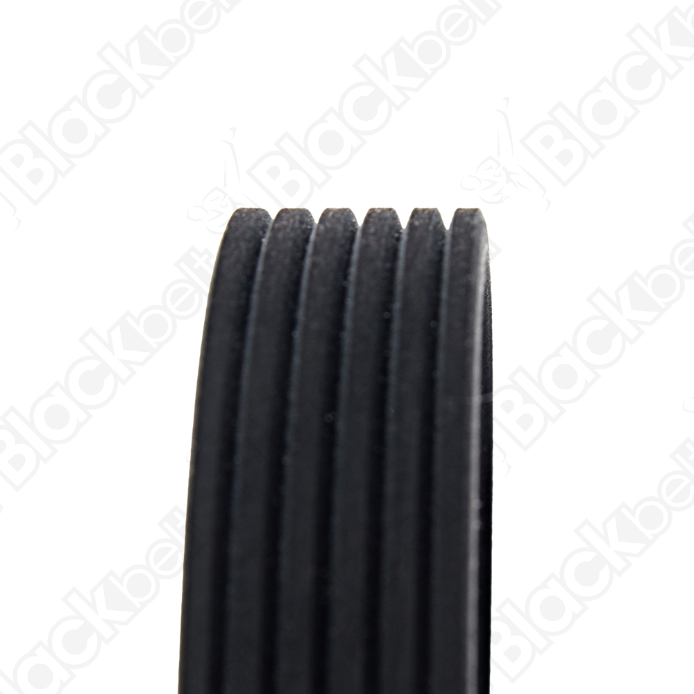 COURROIE SERPENTINE BLACK BELT - 2
