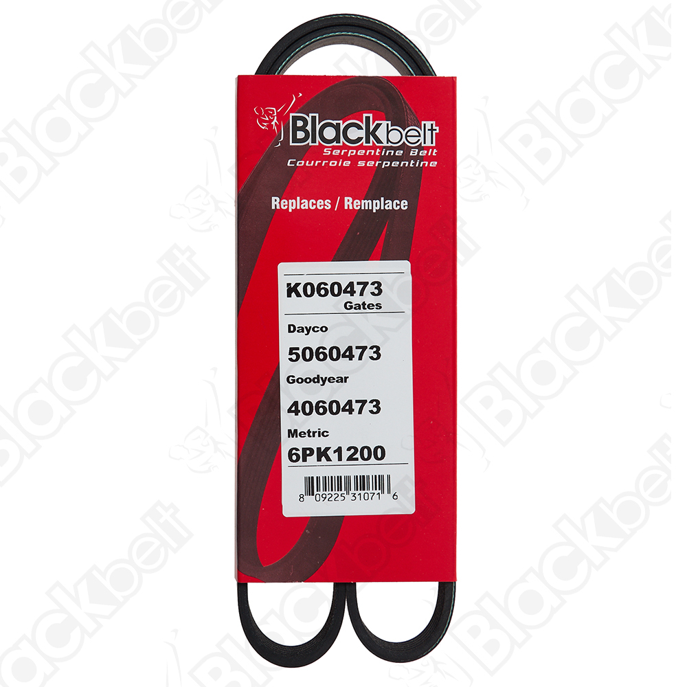 COURROIE SERPENTINE BLACK BELT - 2
