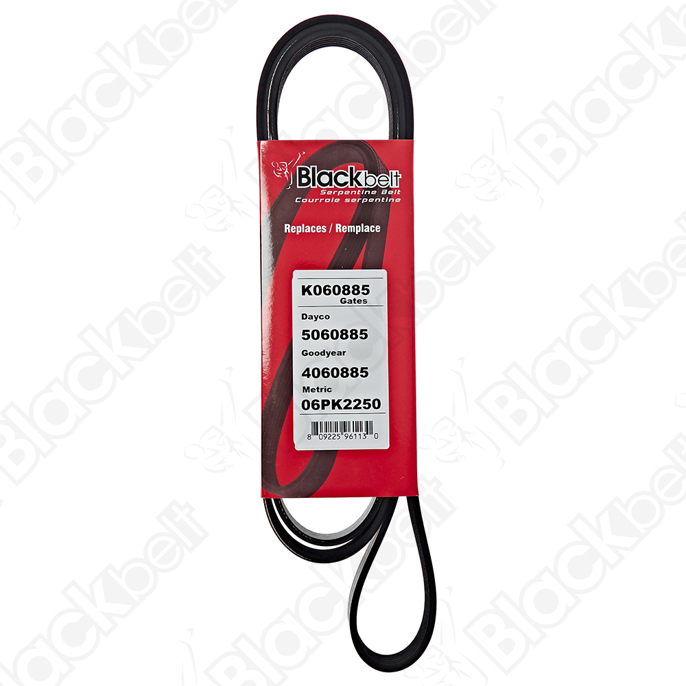 COURROIE SERPENTINE BLACK BELT - 2