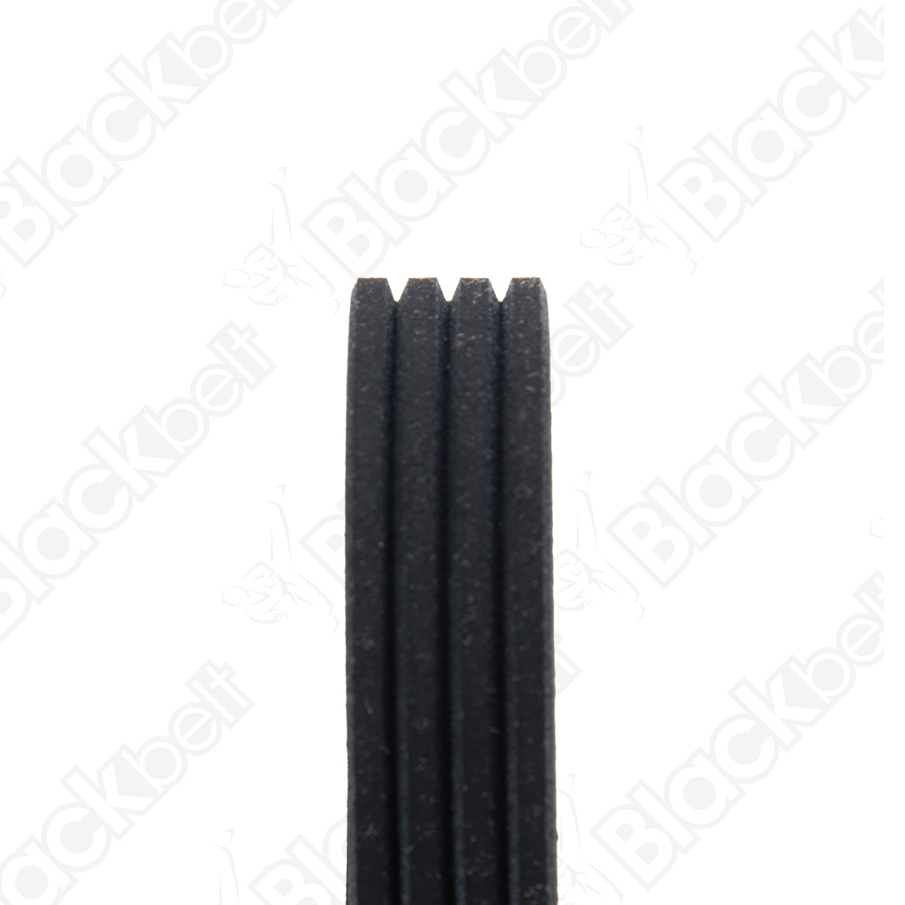 COURROIE SERPENTINE BLACK BELT - 2