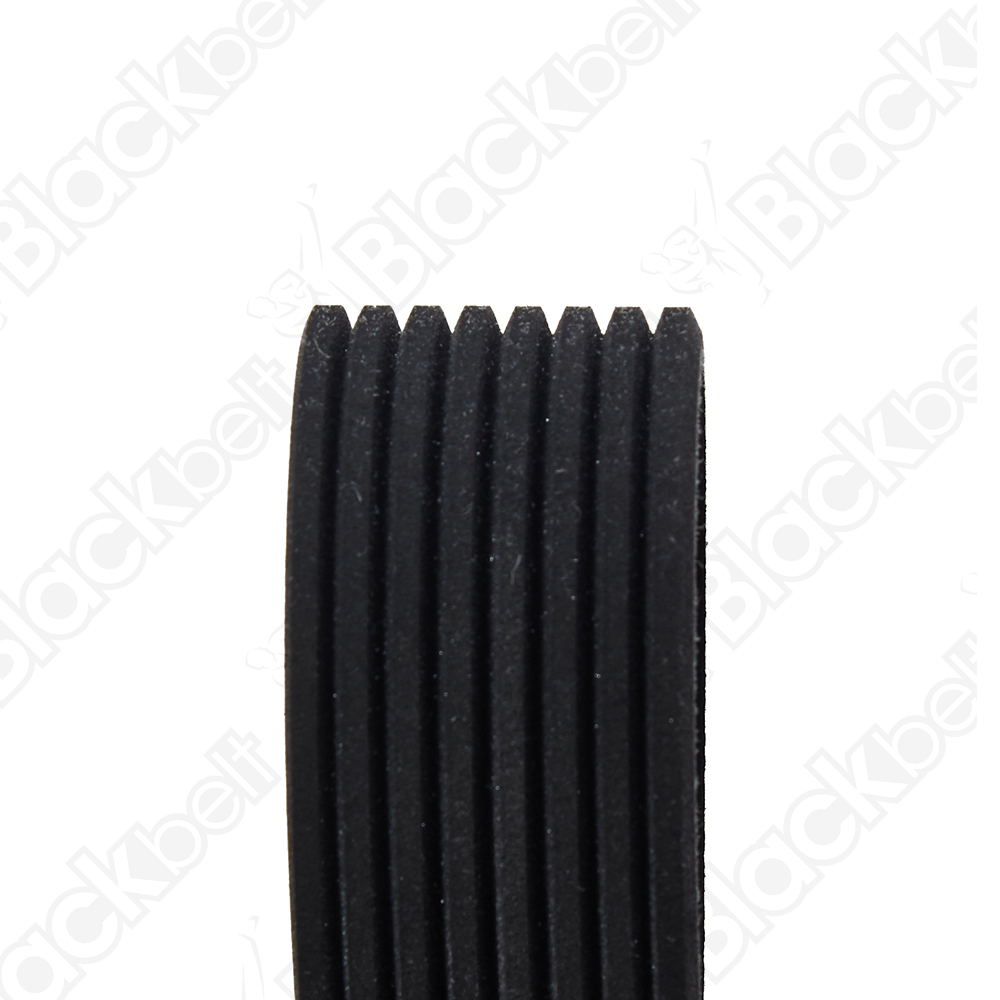 COURROIE SERPENTINE BLACK BELT - 2