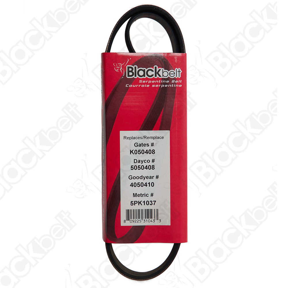 COURROIE SERPENTINE BLACK BELT