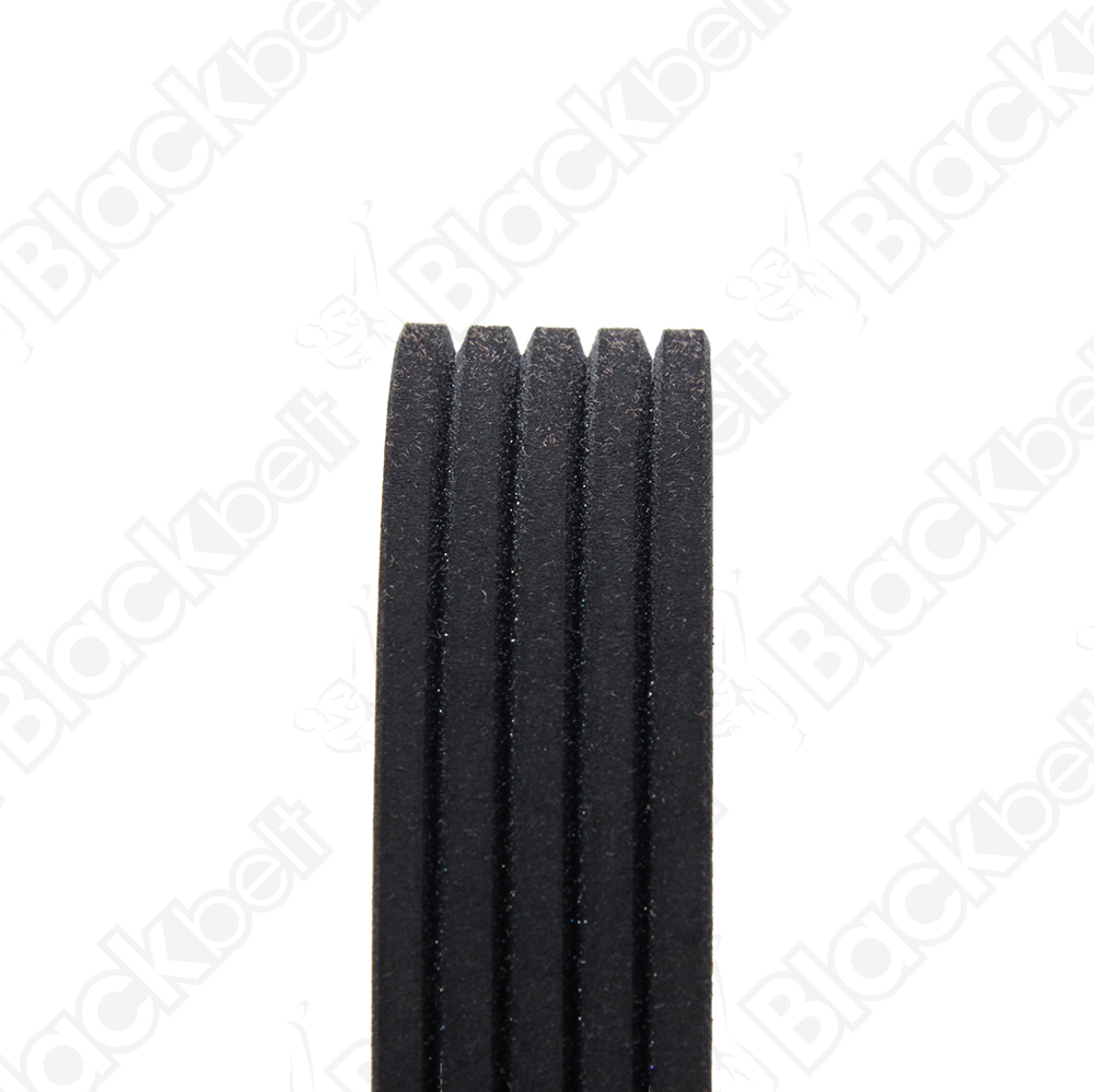 BLACKBELT SERPENTINE BELT - 2